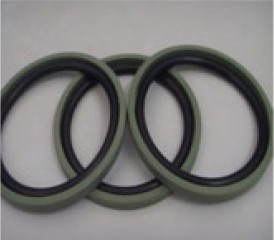 Piston seals (DSF)